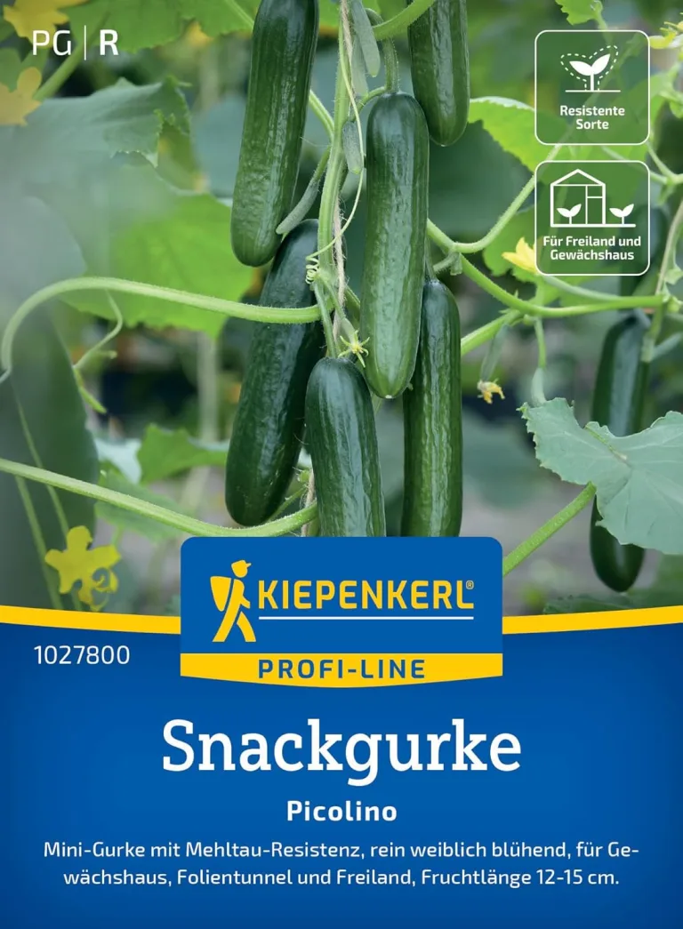 Kiepenkerl Profi-Line Salatgurkensamen Miné-Star 1028280 - Aromatische Mini-Snack-Gurken mit Mehltauresistenz, rein weiblich blühende Gemüsesamen – Bild 9