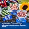Kiepenkerl Profi-Line Salatgurkensamen Miné-Star 1028280 - Aromatische Mini-Snack-Gurken mit Mehltauresistenz, rein weiblich blühende Gemüsesamen – Bild 2