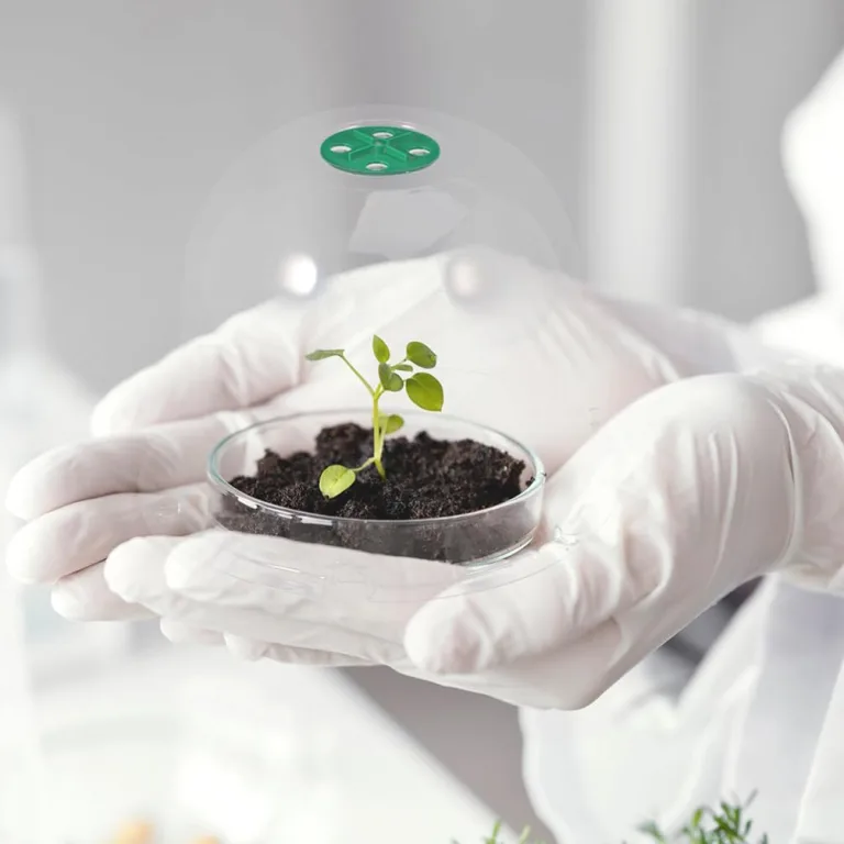 HANABASS 12stücke Garden Cloche Kunststoff Pflanzenkuppel Mit Belüftung Mini Gewächshaus Für Frostschutz Und Feuchtigkeitsregulierung Für Anzucht Und Pflanzenschutz – Bild 5