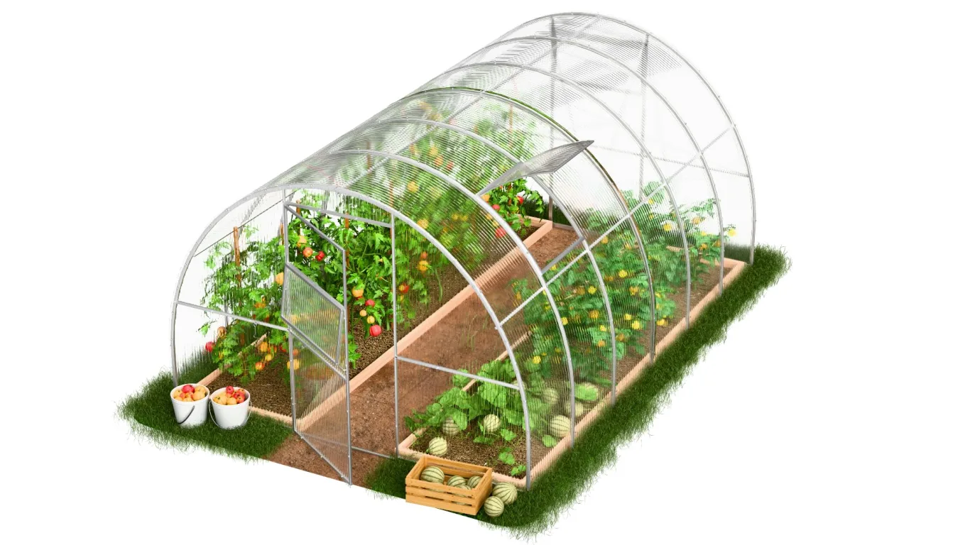 Gewächshaus Tunnel, Greenhouse für Garten, Kweekas, Tuinkas Tunnel 3 m, Greenhouse für Gemüsepflanzen, Stahlrahmen mit Polycarbonat, 1000 x 300 x 200 cm, 30 m² - Bild 1