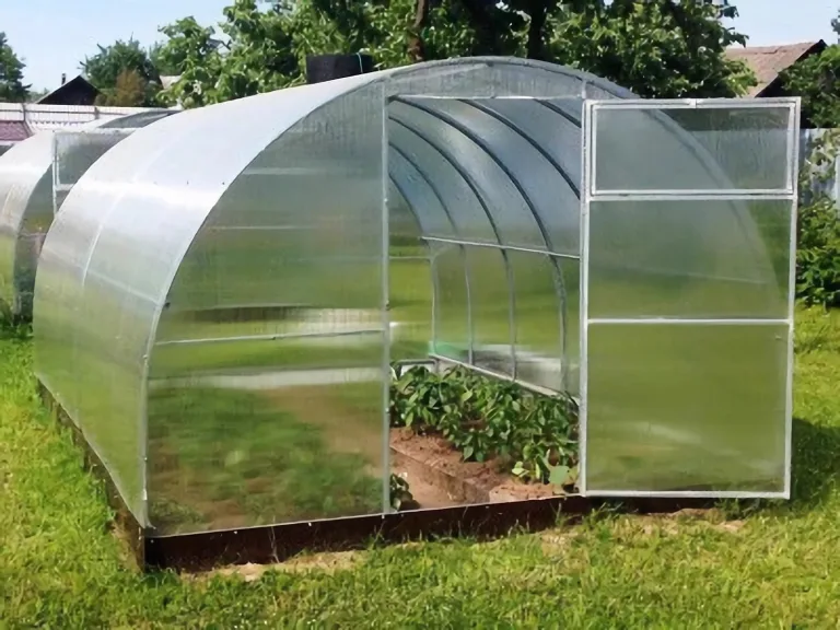 Gewächshaus Tunnel, Greenhouse für Garten, Kweekas, Tuinkas Tunnel 3 m, Greenhouse für Gemüsepflanzen, Stahlrahmen mit Polycarbonat, 1000 x 300 x 200 cm, 30 m² – Bild 2