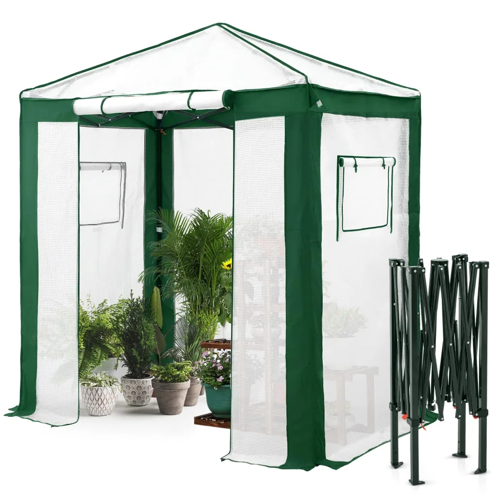 Eagle Peak Tragbares begehbares Gewächshaus mit Polyester-verstärkten Ecken, sofortiges Aufklappen, für drinnen und draußen, Gartenarbeit, Grünhaus, aufrollbare Eingangstür mit Reißverschluss und
