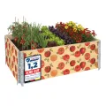 Garronda Holzaufsatzrahmen mit Print - Hochbeete für Pflanzen Blumen Kräuter Obst und Gemüse Aufbewahrungskiste aus Holz mit dekorativem Druck GD-0075 (120x80x20 cm, Tomate mit Hintergrund, 2St) - Thumbnail 1