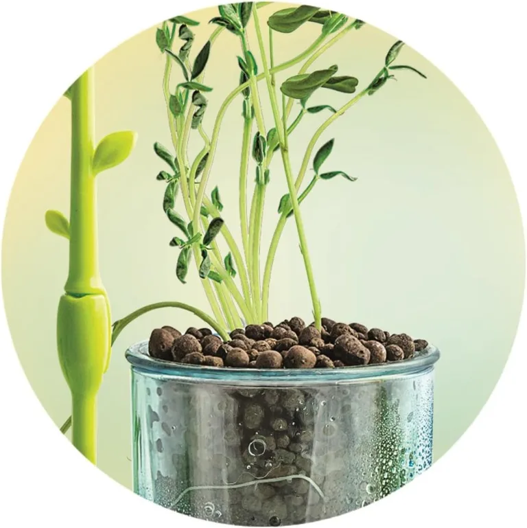Clementoni | Wissenschaft & Spiel: Mini-Gewächshaus – Botanic-Set für Kinder ab 7 Jahren | Gewächshaus zum Zusammenbauen mit Töpfen, Torf, Samen | wissenschaftliches Lernspiel zum Entdecken der – Bild 6