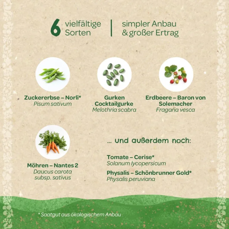 Saatgut-Set Naschgarten mit 6 samenfesten BIO-Sorten | Frisches Naschvergnügen mit Obst & Gemüse zum Selberziehen z.B. Zuckererbse, Erdbeere| Geschenk für Hobbygärtner zum Geburtstag, Ostern etc. – Bild 5