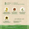 Saatgut-Set mit 5 samenfesten Sonnenblumen-Sorten | Hochwertiges Saatgut | Geschenkidee für Gartenfreunde und Sonnenblumen-Liebhaber zum Geburtstag, Ostern etc. | IFür Garten, Balkon und Terrasse - Thumbnail 5