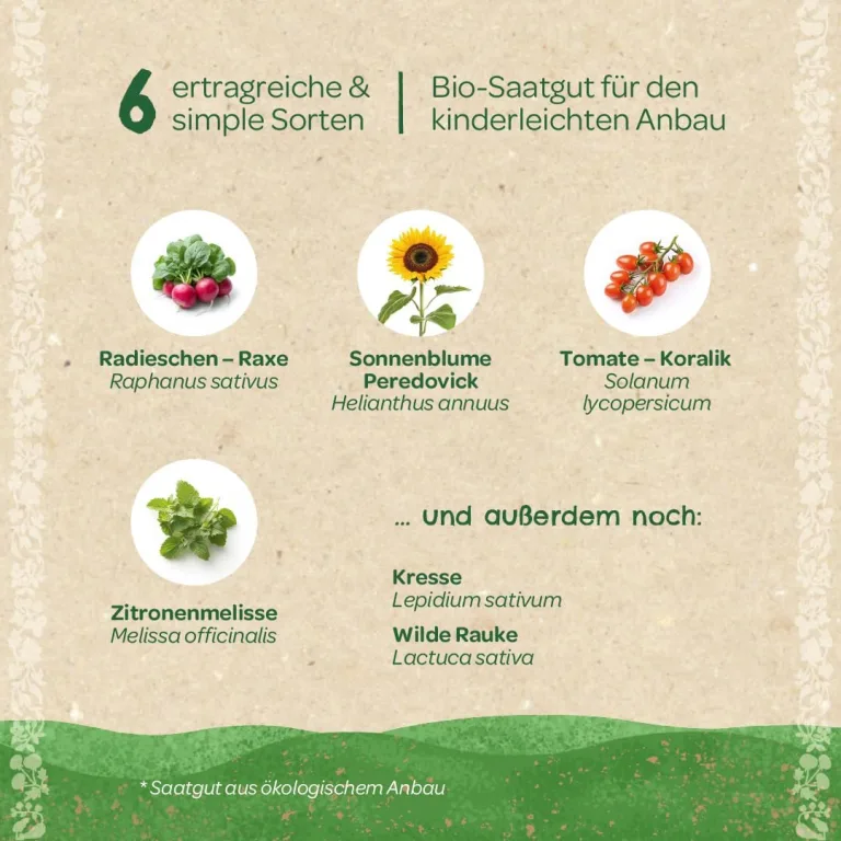 Saatgut-Set mit 6 kindgerechten BIO Gemüse- und Kräutersorten | Anzuchtset für kleine Gärtnerinnen und Gärtner | Nachhaltiges Geschenk zum Geburtstag, Einschulung, als Mitgebsel zum Kindergeburtstag – Bild 5
