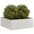 vidaXL Pflanzkübel 80x80x30 cm Edelstahl, Pflanzschale, Garten-Garten-Pflanzkübel, Outdoor-Pflanzgefäß, Hochbeet, Pflanzgefäß, Blumenkasten - Thumbnail 4