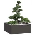 vidaXL Pflanzkübel Schwarz 100x100x40 cm Stahl, Pflanzschale, Garten-Garten-Pflanzkübel, Outdoor-Pflanzgefäß, Hochbeet, Pflanzgefäß, Blumenkasten - Thumbnail 4