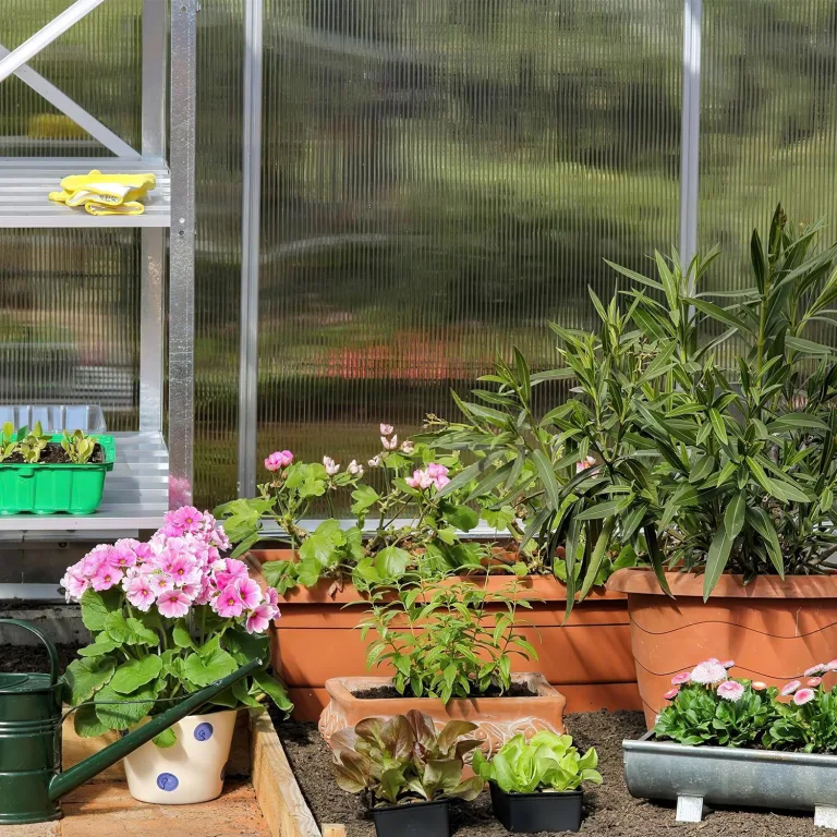 15x Polycarbonat Hohlkammerstegplatten 8mm Doppelstegplatte für Gewächshaus (60.5 x 121cm) | 1.2kg/m² Gewächshausplatte UV-beständigen für Gewächshaus Garten Treibhaus Ersatzplatten – Bild 9