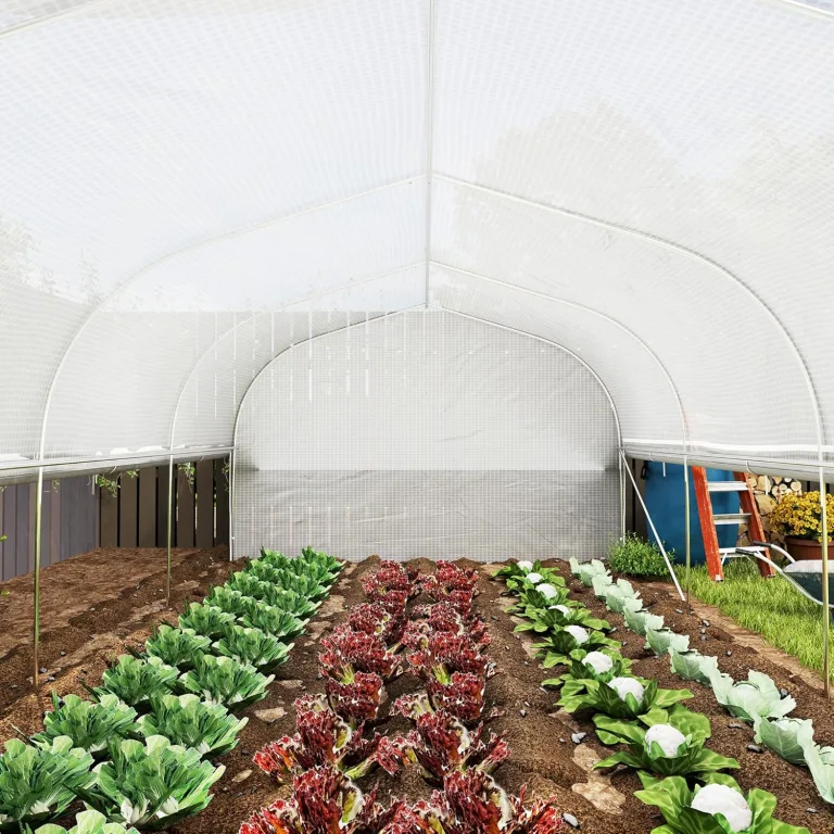 Outsunny Gewächshaus 6 x 3 x 2 m Foliengewächshaus mit 8 Fenster & Tür, Aufrollbar Seitenwänden, UV-beständiger Folientunnel Tomatenhaus mit verzinkten Stahlrahmen, Weiß – Bild 9