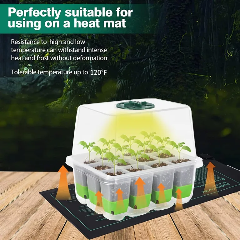 Mini Gewächshaus mit Licht, Anzucht Gewächshaus, Sonnenähnliche Pflanzenlichter mit vollem Spektrum, Anzuchtset Zimmergewächshaus Anzuchtkasten pflanzenlampe anzucht (transparent Base) – Bild 4