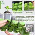 Mini Gewächshaus mit Licht, Anzucht Gewächshaus, Sonnenähnliche Pflanzenlichter mit vollem Spektrum, Anzuchtset Zimmergewächshaus Anzuchtkasten pflanzenlampe anzucht (transparent Base) - Thumbnail 2