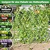 COSTWAY Gurke Rankgitter 180cm hoch, einstellbare Breite, Rankhilfe mit Ranknetz, Garten Gurkengitter Metall, Pflanzenspalier für Kletterpflanzen, Gitterspalier für Gurken Tomaten Efeu, inkl. Zubehör – Bild 2