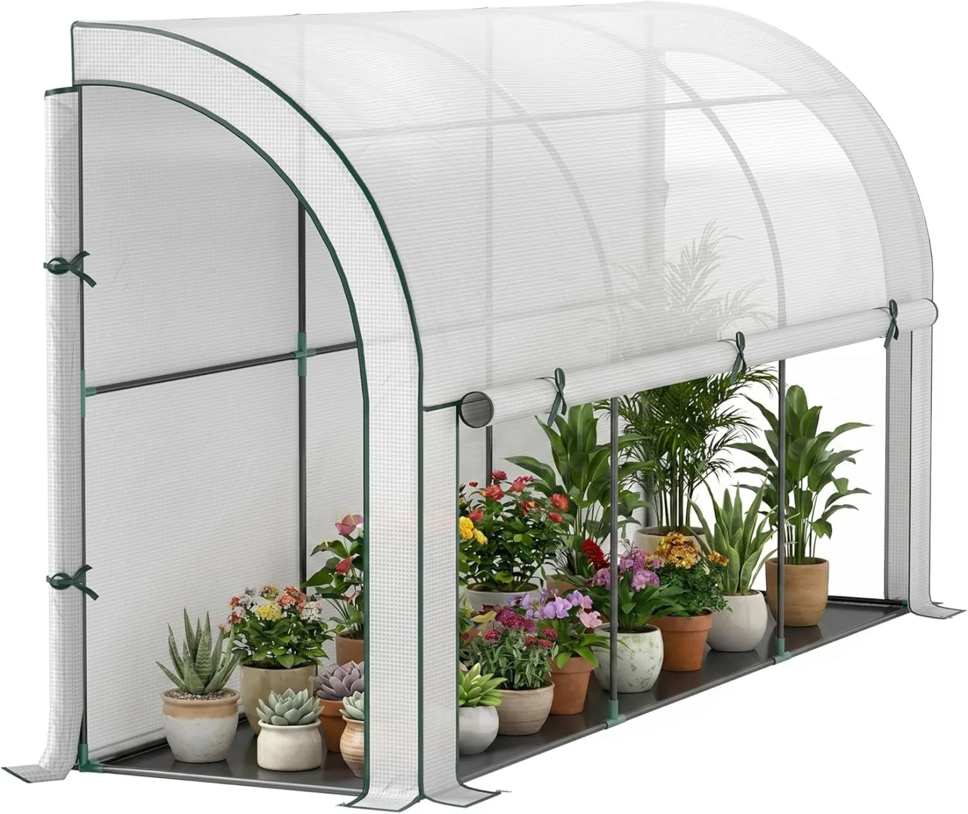 Outsunny Gewächshaus mit Rolltür, Winterfest Foliengewächshaus aus Stahl, Treibhaus für Balkon, Garten, Tomatenhaus mit UV Schutz 300x80x157cm Tomatengewächshaus für Gemüse Blumen Pflanzen Weiß - Bild 1