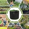 Pflanzsack 5 Stück 12l 20l 30l Vliesstoff Pflanzbeutel Stofftopf, Verdickte Atmungsaktive Stofftöpfe mit Griffe für Tomaten Pflanzen Gemüse Blumen Erdbeeren Pflanzbeutel Gewächshaus Garten Grow Bag - Thumbnail 2