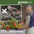 STREND PRO Hochbeet Metall 200x100x80cm (LxBxH) | Metall Hochbeete-kit für Garten Blech | Garten Beet aus verzinktem Stahl für Gemüse, Kräuter & Tomatenpflanzen | Stahl Pflanzkasten, Kräuterbeet - Thumbnail 6