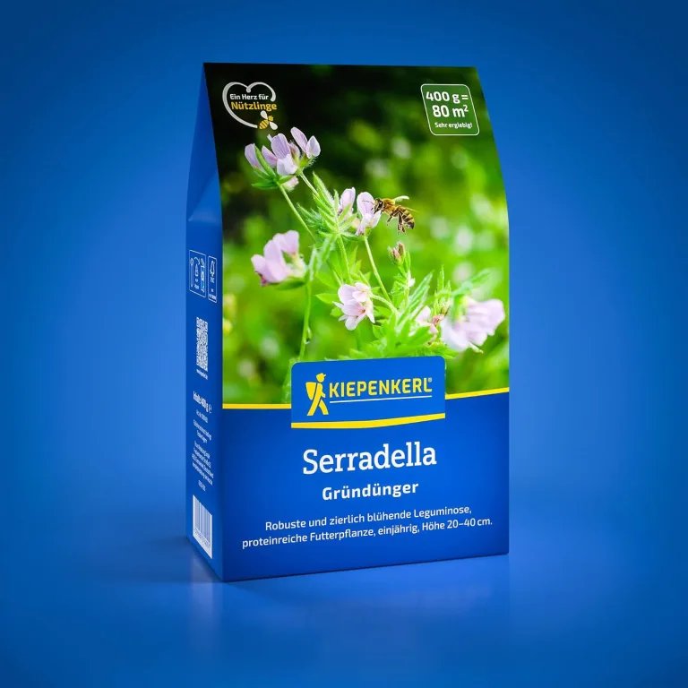 Kiepenkerl Hochbeet Vital 1080700 - Saatgut für den perfekten Gründünger. Ein Fruchtfolgeneutraler Mix ideal als Zwischenfrucht, für die folgenden Kulturen. -Samen – Bild 7