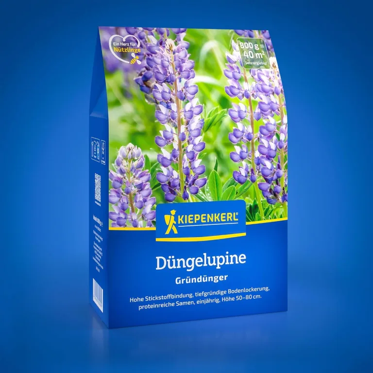 Kiepenkerl Hochbeet Vital 1080700 - Saatgut für den perfekten Gründünger. Ein Fruchtfolgeneutraler Mix ideal als Zwischenfrucht, für die folgenden Kulturen. -Samen – Bild 8