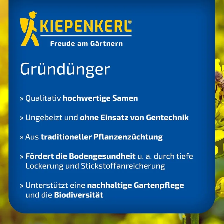 Kiepenkerl Hochbeet Vital 1080700 - Saatgut für den perfekten Gründünger. Ein Fruchtfolgeneutraler Mix ideal als Zwischenfrucht, für die folgenden Kulturen. -Samen – Bild 4