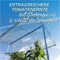 bellissa – Tomatendach höhenverstellbar von 125-185 cm mit regendichtem Aluminiumgewebe - Plastikfreies Pflanzenschutzdach für Tomaten, Gurken, Bohnen – Überdachung gegen Starkregen & Braunfäule - Thumbnail 2