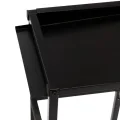 Pflanzwerk Pflanzkübel Hochbeet Gestell Elevate 60x28cm für Garten Terrasse und Balkon Blumenkübel - Pulverbeschichteter Edelstahl - Rostfrei - Premiumqualität - Frostsicher - 2 Jahre Garantie - Thumbnail 6