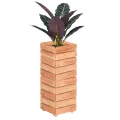 Mega Holz Hochbeet MODULO 60x30x75 cm (BxTxH) - Wetterfester Pflanzkübel aus Holz für Innen- und Außenbereich - Blumenkübel aus witterungsbeständiger Lärche für Garten, Terrasse und Balkon, Modular - Thumbnail 10
