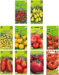 Nojus - Tomaten Samen Set – 20 Sorten – Verschiedene Tomatensamen Starter Kit - 20 Packen – Garten Samen Pflanzen Saatgut – Samen Gemüse Box 20 Sorten – Saatgut Box – Saat/Seeds - Thumbnail 2
