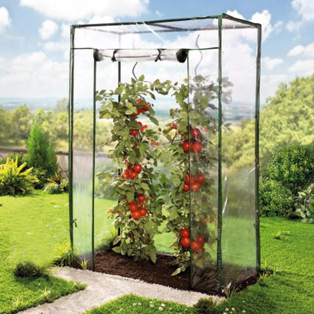 Tomaten-Gewächshaus mit PE-Abdeckung, 100 x 50 x 150 cm