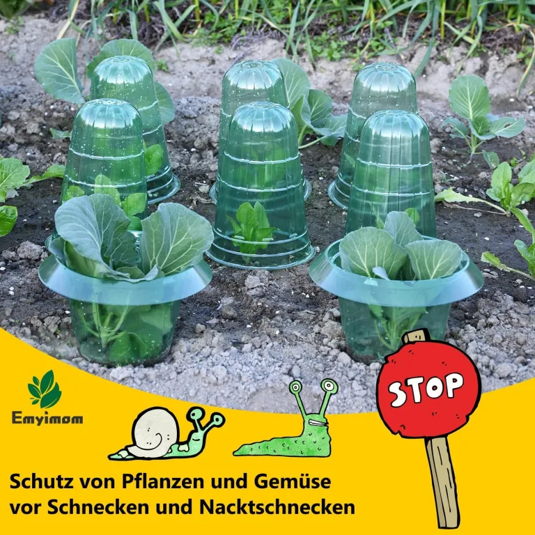 20 Stücke Schneckenschutzring, Der Neueste Schneckenkragen, Bietet Effektiven Schutz vor Schnecken für Ihre Salatpflanzen und Tomaten.（Enthält Keine Pflanzenhut） – Bild 5