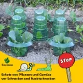 20 Stücke Schneckenschutzring, Der Neueste Schneckenkragen, Bietet Effektiven Schutz vor Schnecken für Ihre Salatpflanzen und Tomaten.（Enthält Keine Pflanzenhut） - Thumbnail 5