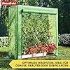 Floordirekt - Gewächshaus UV-beständig - Gewächshaus mit Metallablagegitter - Langlebig. Witterungsbeständiges Pflanzenhaus für Gemüse Kräuter. Blumen (77x200x169cm Botanika) – Bild 2