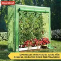 Floordirekt - Gewächshaus UV-beständig - Gewächshaus mit Metallablagegitter - Langlebig. Witterungsbeständiges Pflanzenhaus für Gemüse Kräuter. Blumen (77x200x169cm Botanika) - Thumbnail 3