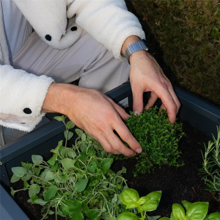 Metzler Hochbeet für den Garten oder Balkon – Stahl in Anthrazit | Witterungsbeständiges Metall-Gartenbeet, Pflanzenbeet, Blumenhochbeet | 50 x 50 x 50 cm – Bild 7