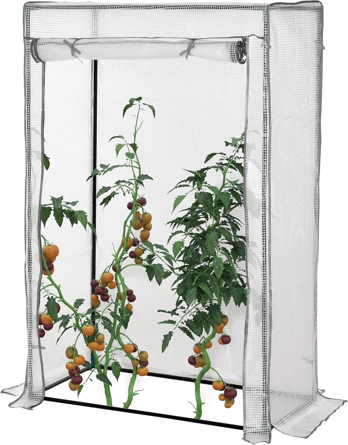 Outsunny Gewächshaus mit Tür, Winterfest Foliengewächshaus aus Stahl, Treibhaus für Balkon, Garten, Tomatenhaus 100x50x150cm, Tomatengewächshaus für Tomaten, Gemüse, Blumen, Pflanzen, Weiß - Bild 1