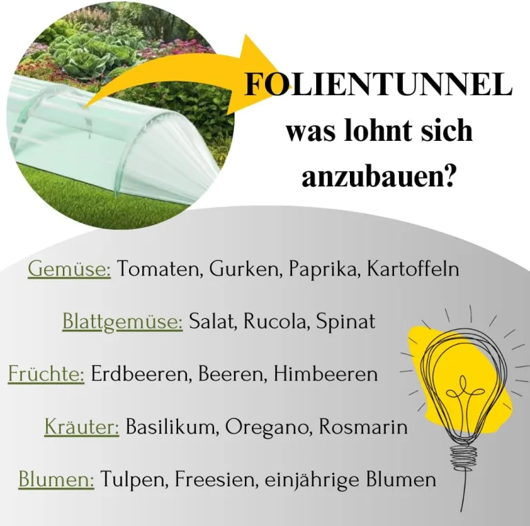 Pflanztunnel Gartentunnel Treibhaus Tomatenhaus Tunnelbögen 2 Größen (Grün, 2,40m) – Bild 5