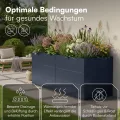 STEELSØN Icarus Hochbeet aus Metall – Pflanzenbeet in Anthrazit für Garten & Balkon – Pflanzenkübel mit offener Bodenstruktur stabil & wetterfest – Gartenbeet für Blumen, Gemüse, Obst – 200x75x80 cm - Thumbnail 3