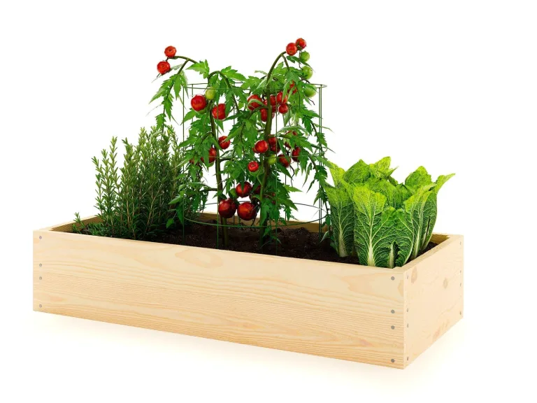 Lermowoood Hochbeet aus Holz 60x80x20 cm Natur – Pflanzkasten für Gemüse & Kräuter – mit Agrovließ – steckbar & stapelbar- Aussenbereich ideal für Garten, Balkon & Terrasse – Bild 1