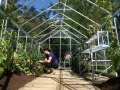 Vitavia Gewächshaus Mars 9900", Aluminium eloxiert, 9,9 m², 3 mm ESG | Wetterfestes & stabiles Treibhaus | Perfekt für Gemüse & Pflanzen | Robust & langlebig - Thumbnail 3