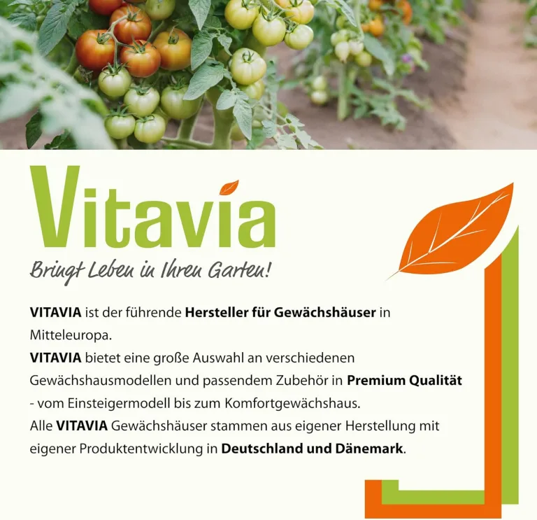 Vitavia Gewächshaus Apollo 6200", Aluminium eloxiert, 6,2 m², 4 mm HKP | Wetterfestes & stabiles Treibhaus | Perfekt für Gemüse & Pflanzen | Robust & langlebig – Bild 6