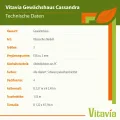 Vitavia Gewächshaus Cassandra 11500", schwarz, 11,5 m², ohne Sockelmauer, 3 mm ESG | Wetterfestes & stabiles Treibhaus | Perfekt für Gemüse & Pflanzen | Robust & langlebig - Thumbnail 5