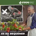 STREND PRO Hochbeet Metall 160x80x77 cm (LxBxH) ANTHRAZIT | Pflanzkasten | Blumenkasten | Garten Pflanzkasten Hoch | Gemüsebeet | Gartenbeet | Hochbeet Balkon Pflanzbeet - Thumbnail 6