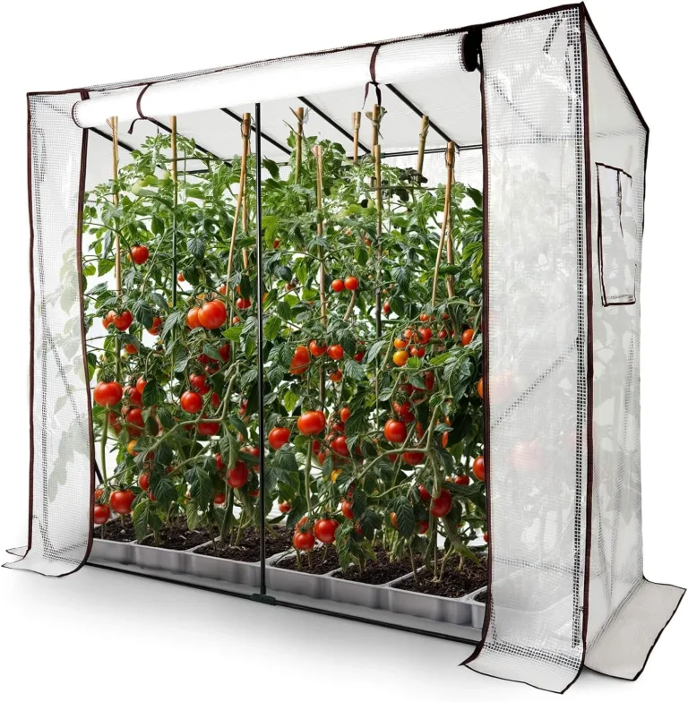 Arebos Tomatengewächshaus Foliengewächshaus mit 2 Belüftungsfenster | Gewächshaus groß | Tomatenhaus, Treibhaus mit Tür zum Aufrollen | 200x77x170 cm Frühbeet, Gemüse, Blumen, Obst | Gewächshausfolie – Bild 1