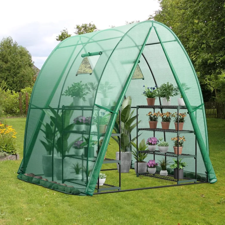 GOPLUS Gewächshaus, Tomatengewächshaus mit PE-Abdeckung & Metallrahmen, begehbares Foliengewächshaus mit Aufrollfenster & Aufrolltor, Treibhaus für Blumen, Pflanzen, 181 x 181 x 200 cm (Grün) – Bild 7