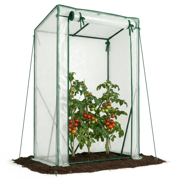 VOUNOT Gewächshaus Foliengewächshaus 100x50x150 cm, Schrägdach Tomatengewächshaus Stabil Tomatenhaus für Gemüse, Blumen & Obst, Verstärkte PE-Folie 135g/m², Grün – Bild 9