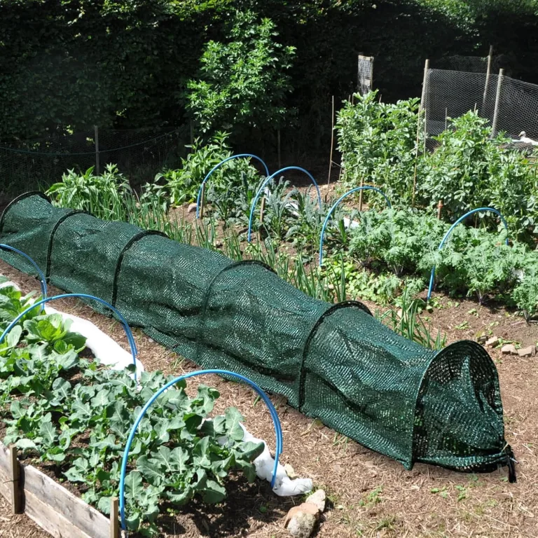 Pflanztunnel Netz, Garden Folientunnel 300x30x45cm, Faltbar Gartentunnel, Frühbeet Schutztunnel Gewächshaus mit Stecksystem, 6 Tunnelbögen Aufzucht Hochbeet Gemüsebeet Pflanzentunnel (Grün) – Bild 9