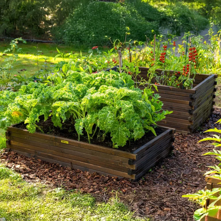 Greenspot - Hochbeet Holz - Kräuterbeet für Garten - 120x80 - aus Echtholz, Imprägniert - Gemüsebeet, Blumenbeet, Pflanzkübel XXL, Pflanzkasten - Timber Palisanderbraun Dunkel – Bild 7