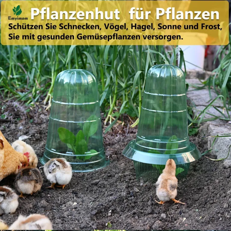 Pflanzenhut, Pflanzhütchen für Salatpflanzen zum Schutz vor Vögeln, Schnecken, Frost oder Witterung - Schützt Pflanzen vor Tierfraß,Kann mit einem Schneckenkragen verwendet werde. – Bild 9