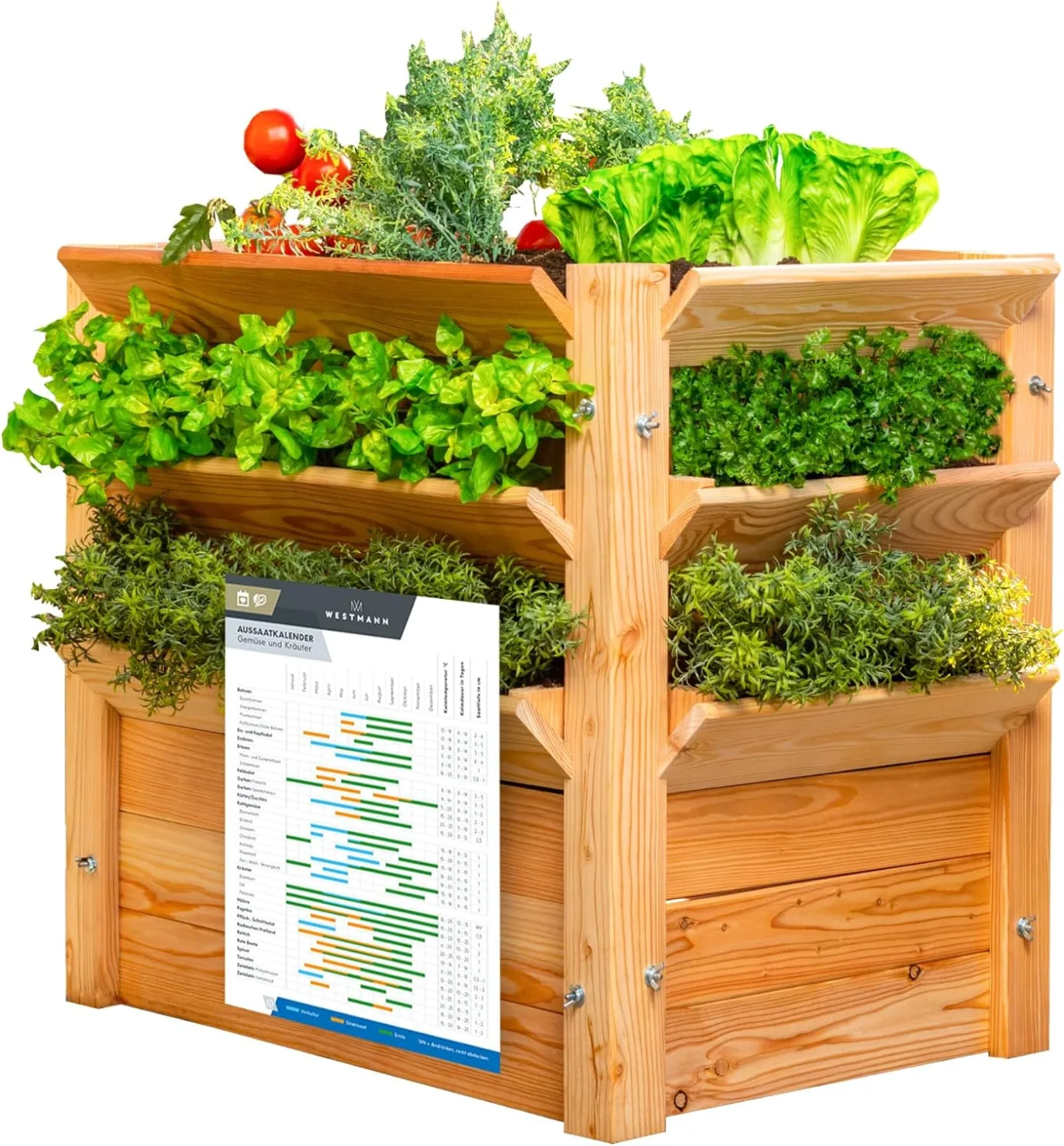 WESTMANN Premium Hochbeet aus Lärchenholz mit Aussaatkalender| Natur | 66x91x73 cm | Kräuterbeet | Holzhochbeet zum Bepflanzen von Gemüse & Kräutern - Bild 1