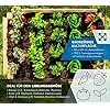 WESTMANN Premium Hochbeet aus Lärchenholz mit Aussaatkalender | Natur | 125x91x73 cm | Kräuterbeet | Holzhochbeet zum Bepflanzen von Gemüse & Kräutern – Bild 2
